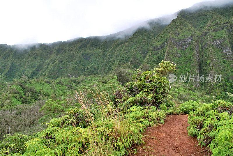 夏威夷库劳山徒步旅行路线