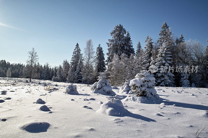黑森林冬天的雪景