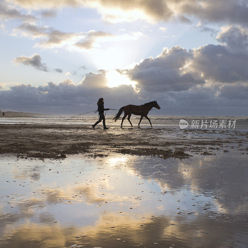 年轻女子在穆迪天空海滩训练马