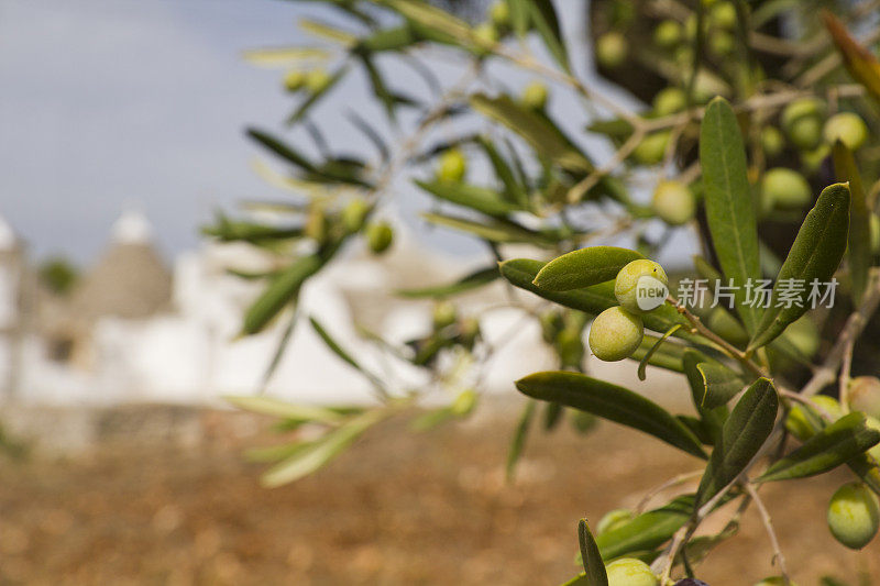 意大利古董屋“Trulli”