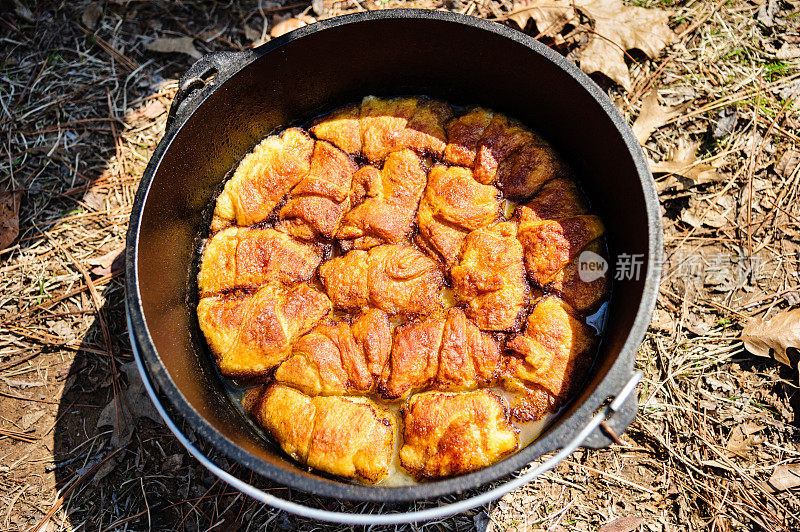 有厚皮苹果馅饼的荷兰烤炉