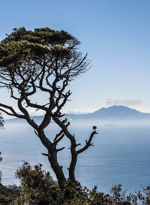 直布罗陀海峡