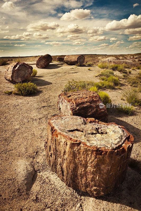 石化森林国家公园，亚利桑那州，美国西南部