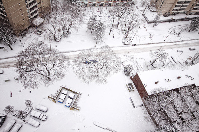 新雪下的城市街道