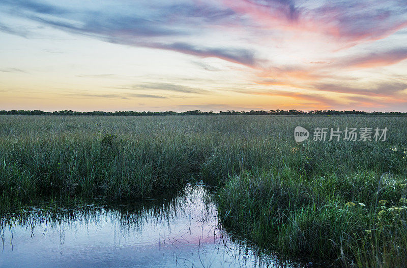 日落在风景优美的大沼泽地国家公园地平线