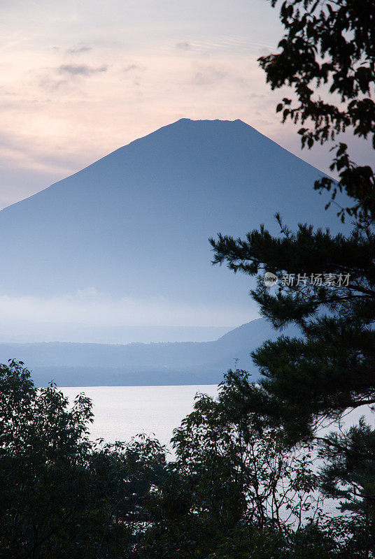 富士山与树木