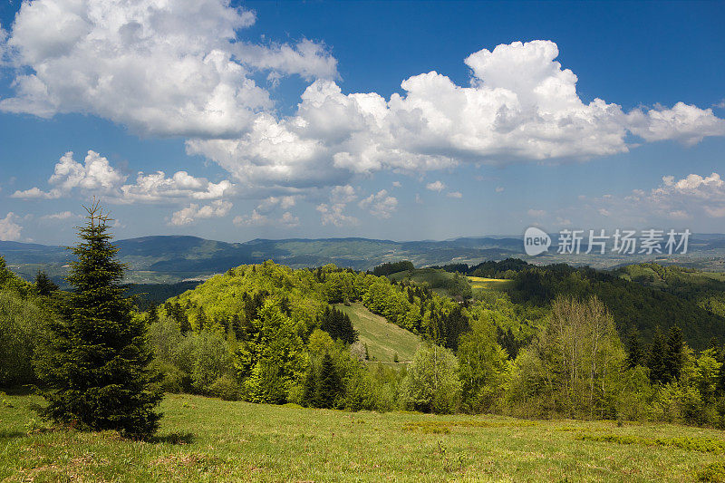 五月的山景。Beskid,波兰。