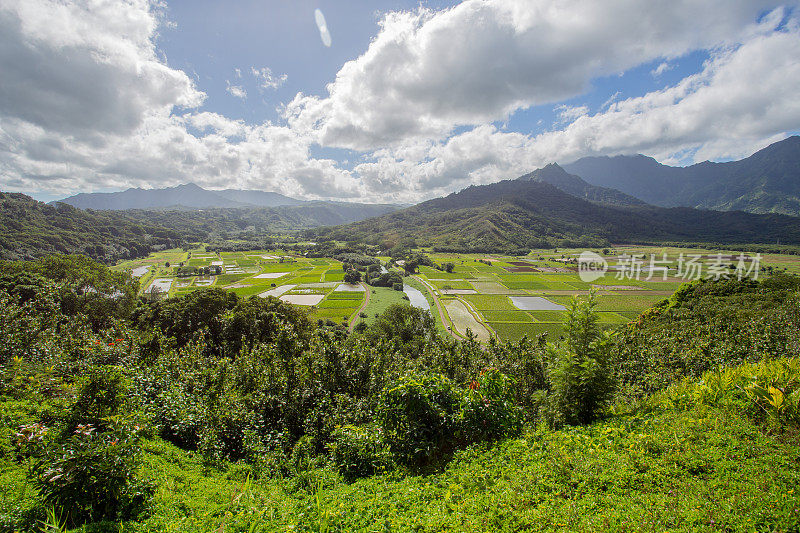 夏威夷考艾岛的哈纳莱伊瞭望台