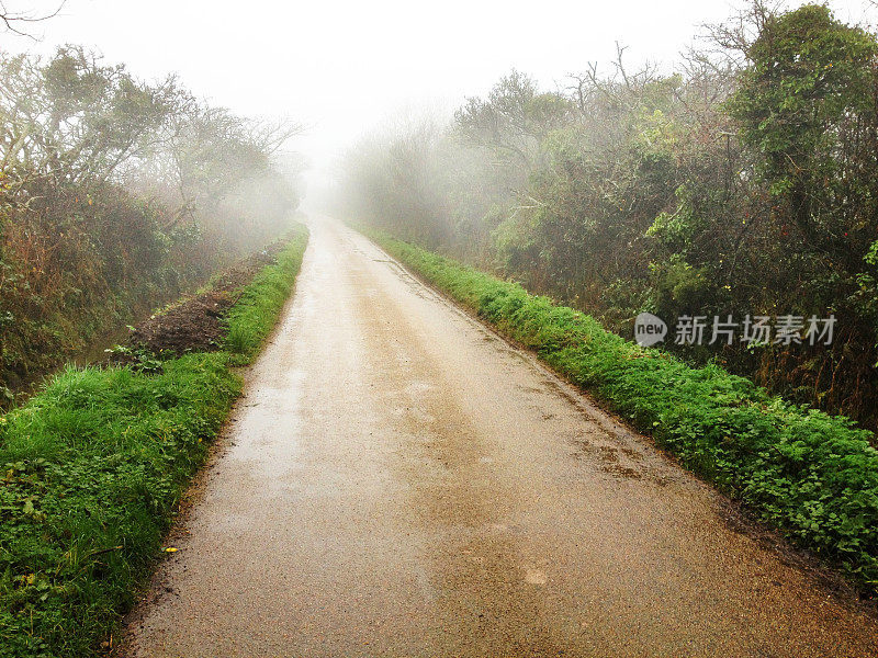 乡村的小路上