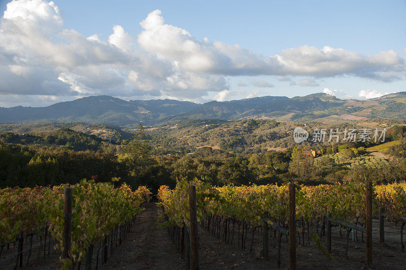 云景在乡村景观索诺玛谷加利福尼亚