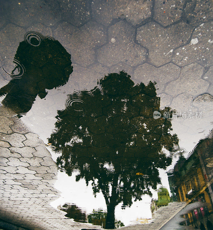 雨后的反思——乌克兰利沃夫