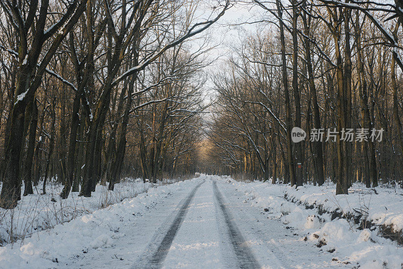 冬天的路