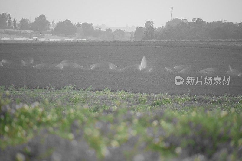 浇水种植园