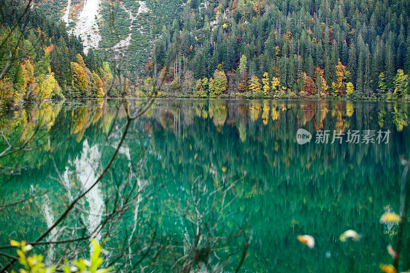 托维尔湖的树叶。特伦蒂诺-阿尔托·阿迪格意大利。
