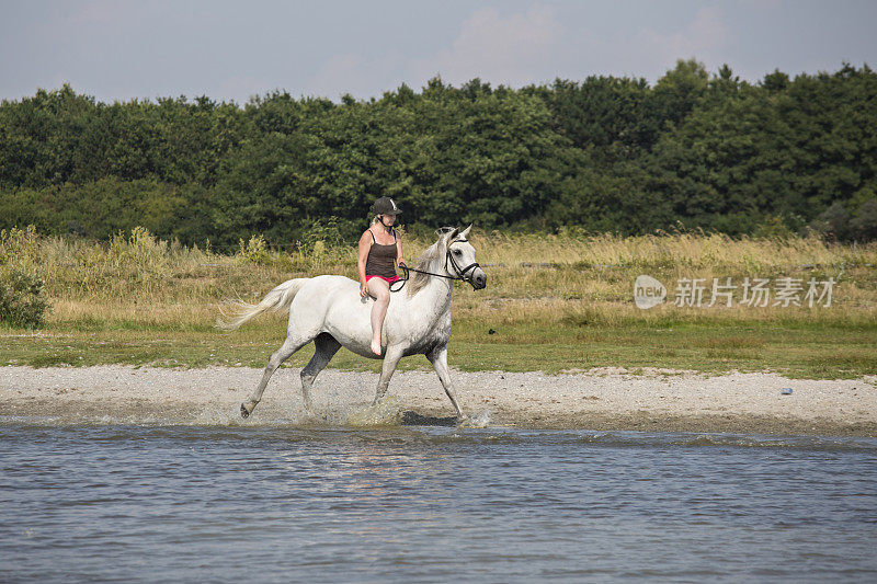 年轻的女子骑着白马穿过水