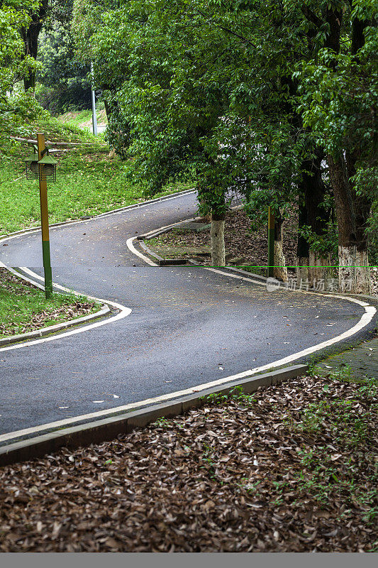 柏油路和树木