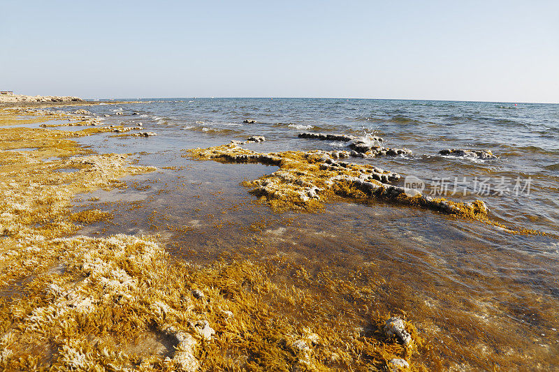 塞浦路斯阿伊亚纳帕的岩石海岸和蓝色地中海海滩