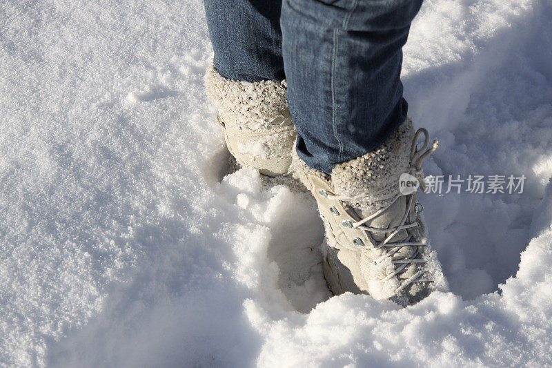 在雪中玩耍