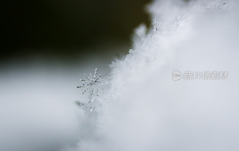 雪晶体近宏