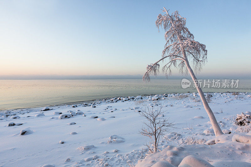 Vidzeme的海滨