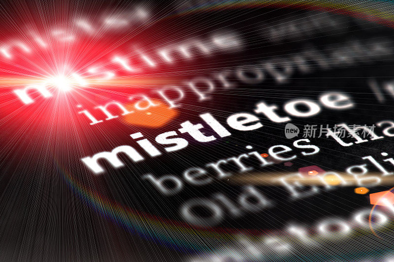 单词mistletoe印刷和定义在英语词典