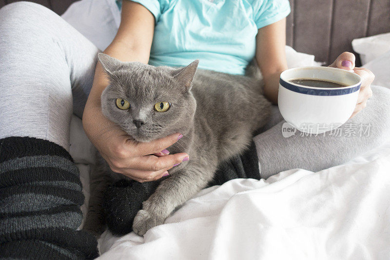 有猫的女人，在家里的床上喝咖啡