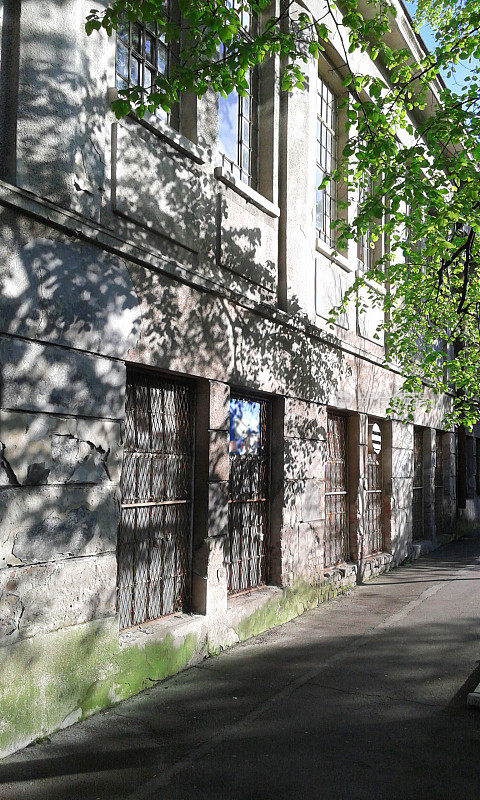 街道上的墙壁上有树叶的影子