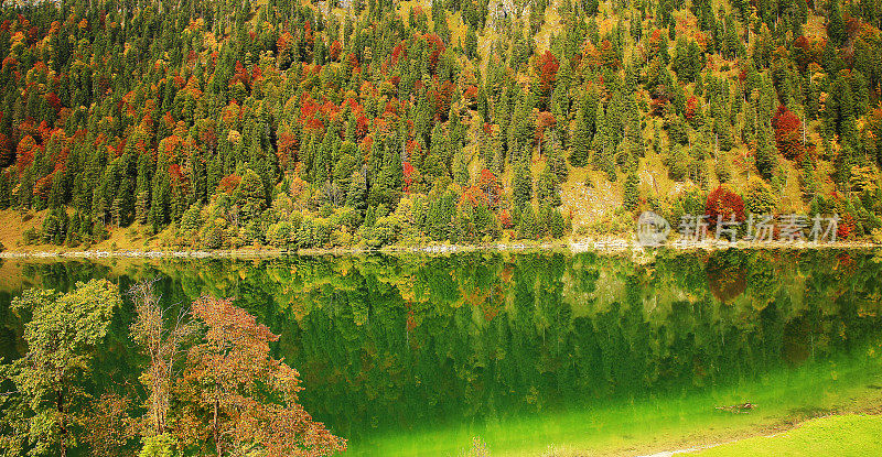 森林湖反射和高山景观在秋天-巴伐利亚阿尔卑斯，德国