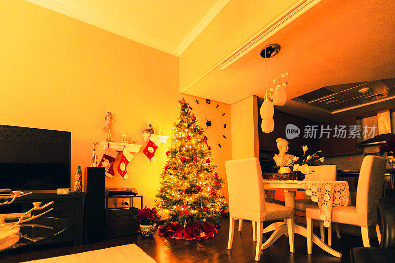 公寓客厅里的一棵彩灯圣诞树