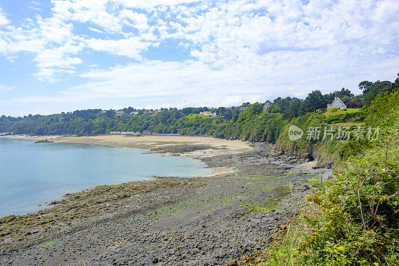 在海滩之间的松树，布列塔尼，法国