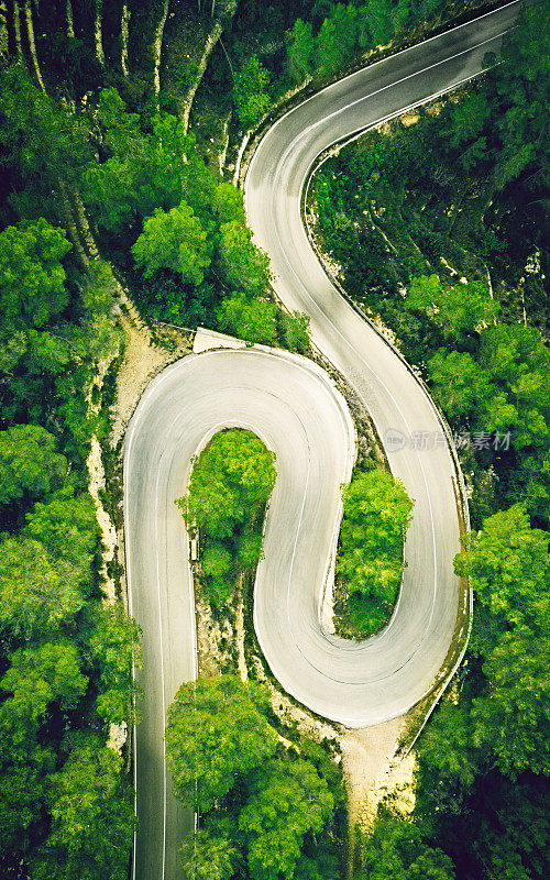 鸟瞰图的两车道蜿蜒的道路在森林