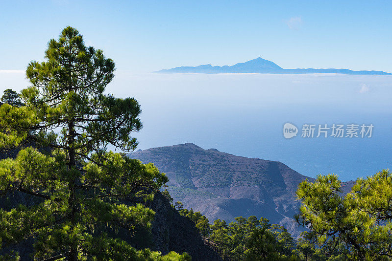 从大加那利岛到特内里费岛的皮科德泰德