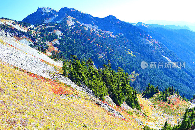 来自雷尼尔山的亚当斯山