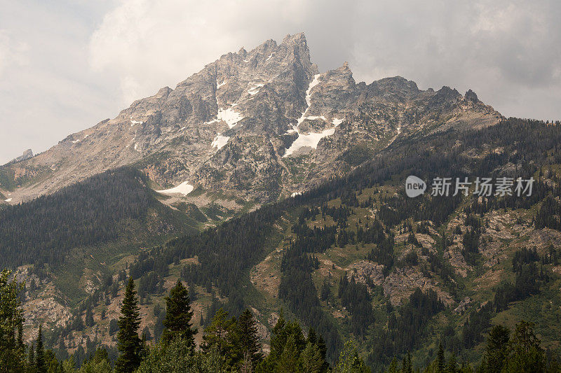 白雪皑皑的落基山脉和荒野松树