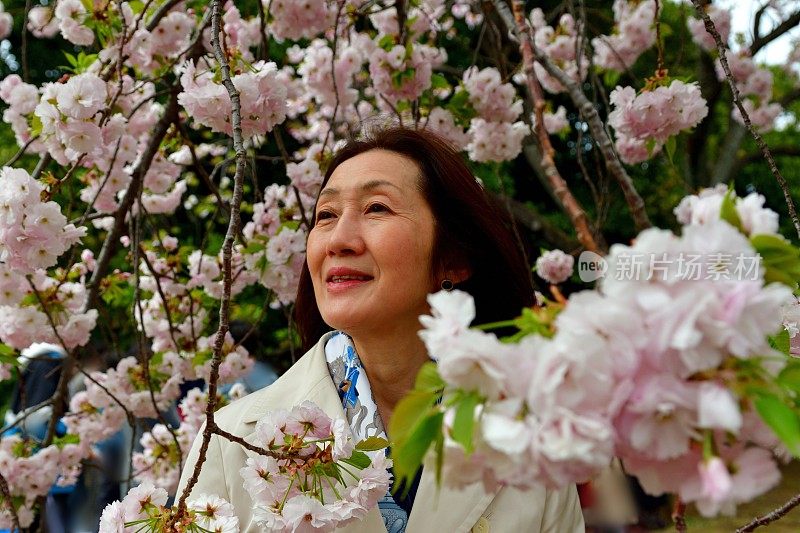 日本女子在东京赏樱花