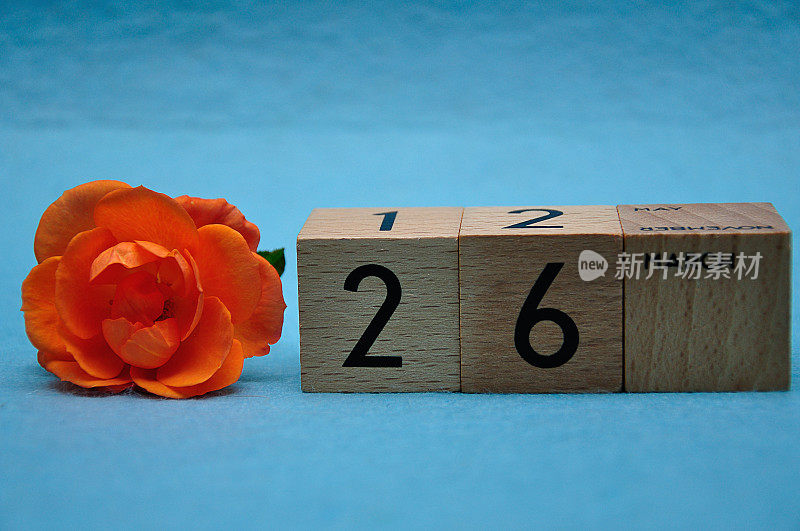 3月26日，在蓝色背景下，橙色玫瑰的木块上