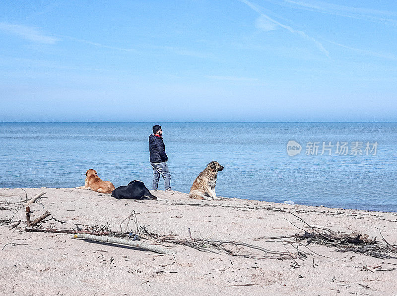 一个年轻人和他的狗站在海滩上看海平线