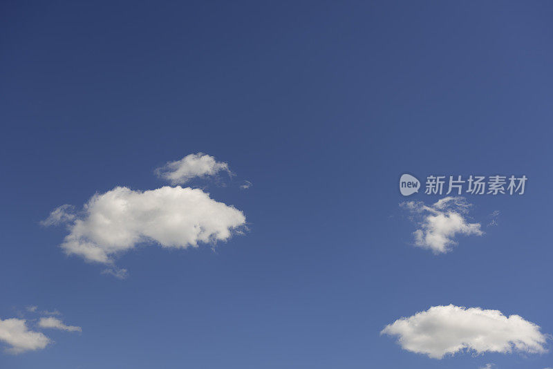湛蓝的天空中飘着几朵蓬松的高积云