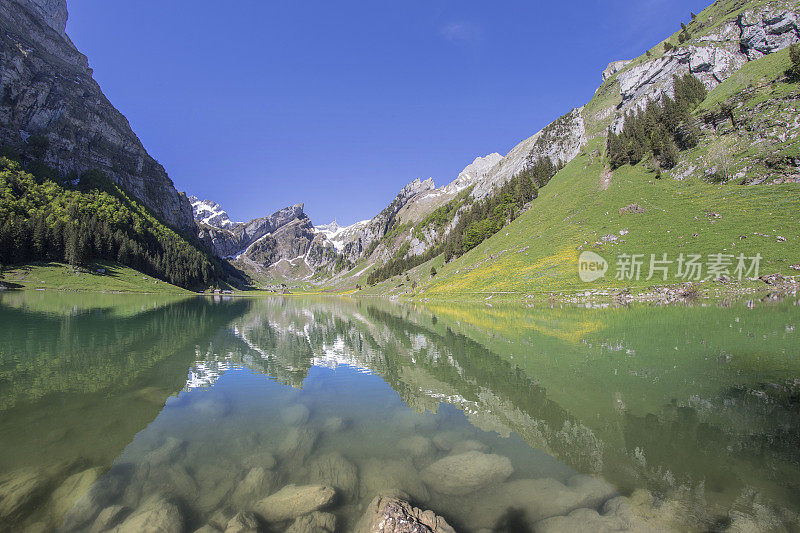 湖Seealpsee山Säntis阿彭策尔阿尔卑斯瑞士