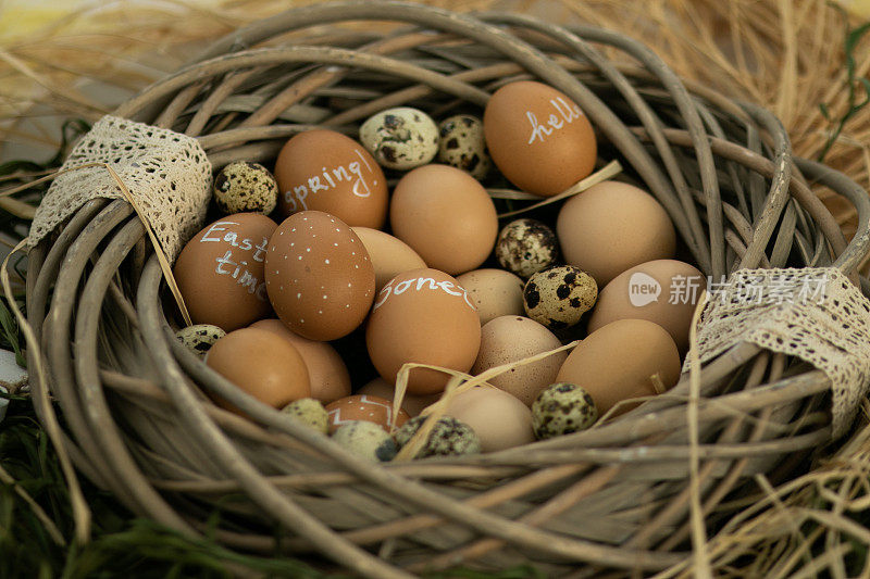 燕窝里的复活节彩蛋