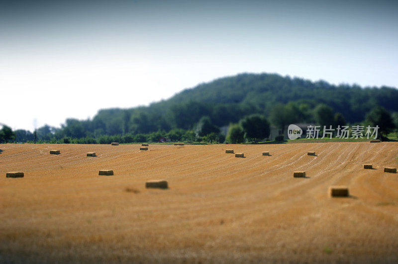 来自法国乡村的景色-干草包点缀风景