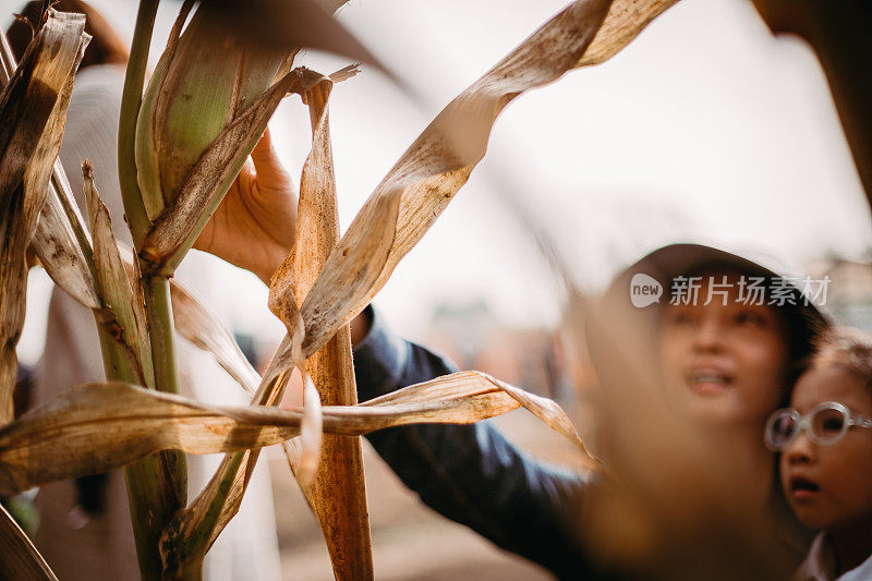 我们喜欢玉米