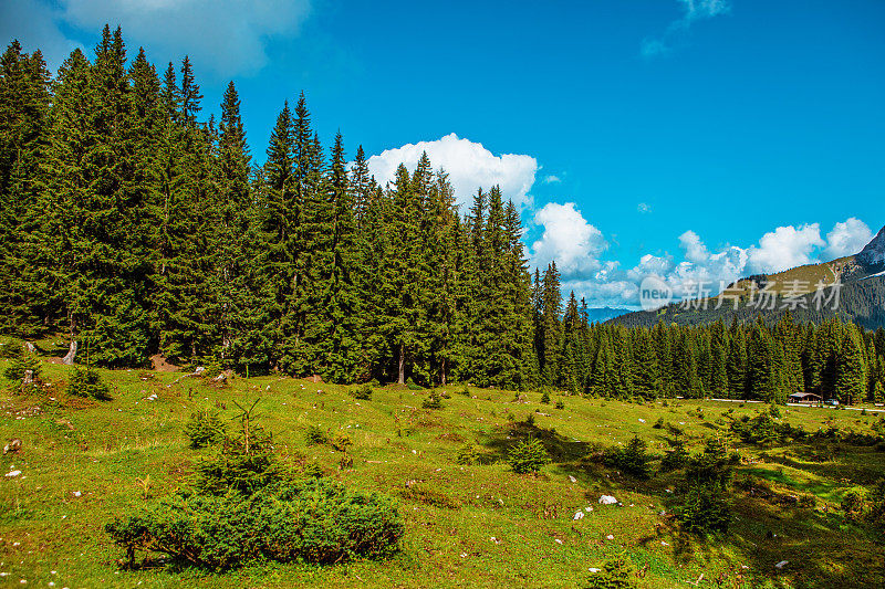 白天的高山乡村景色