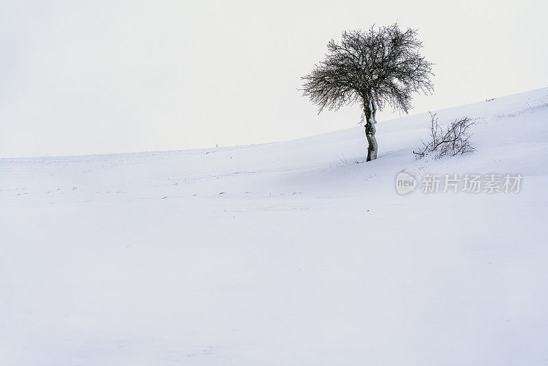 雪在草地，冬天的风景