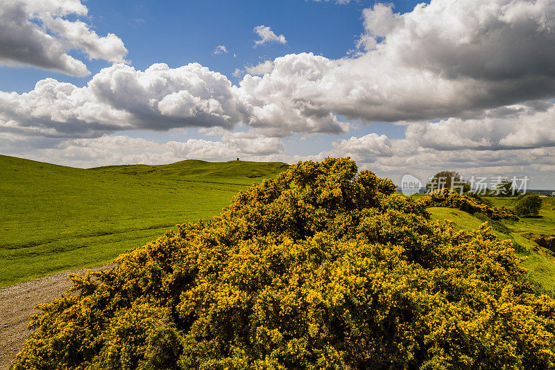 伯顿达塞特山俯瞰英国风景，英国中部的沃里克郡