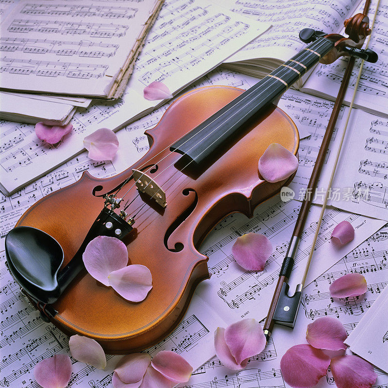 小提琴静物