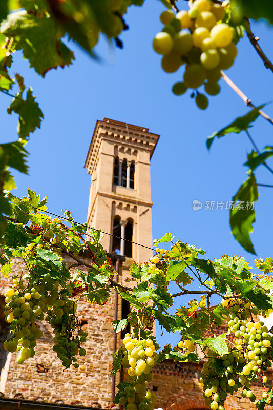 佛罗伦萨的圣方济会教堂和奥格尼桑蒂修道院的钟楼