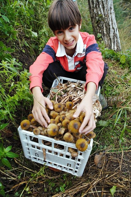 在乡下采蘑菇的小男孩