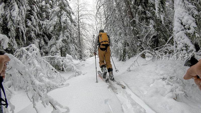 POV过去滑雪杆，年轻人滑雪通过森林与新鲜降雪