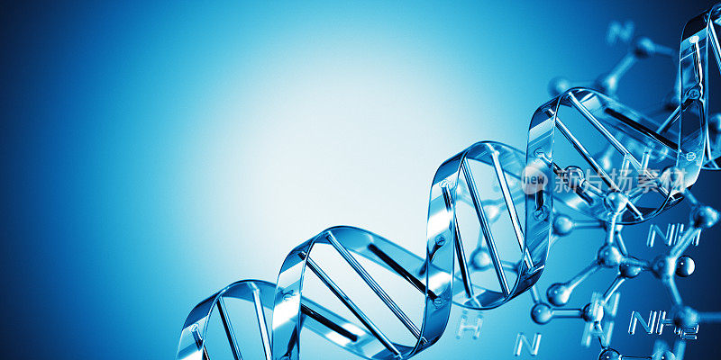 DNA公式概念